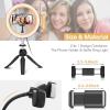 imageUBeesize 10quot Key Light for Streaming Desk Ring Light with Adjustable Arm Zoom Lighting for Home Office Gaming Podcast Video Calls and RecordingRing Light