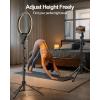 imageUBeesize 12 Ring Light with Overhead Phone Mount LED Selfie Light with Stand and Phone Holder for iPhone and Laptop Desk Light for Video Recording Zoom Meeting Live Streaming Tiktok YouTubeRing Light